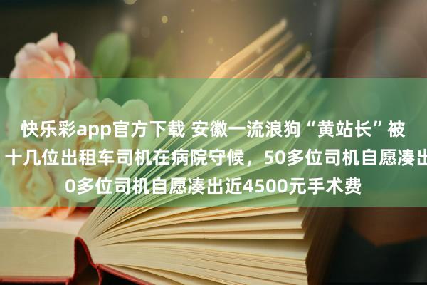 快乐彩app官方下载 安徽一流浪狗“黄站长”被车撞了作念手术，十几位出租车司机在病院守候，50多位司机自愿凑出近4500元手术费