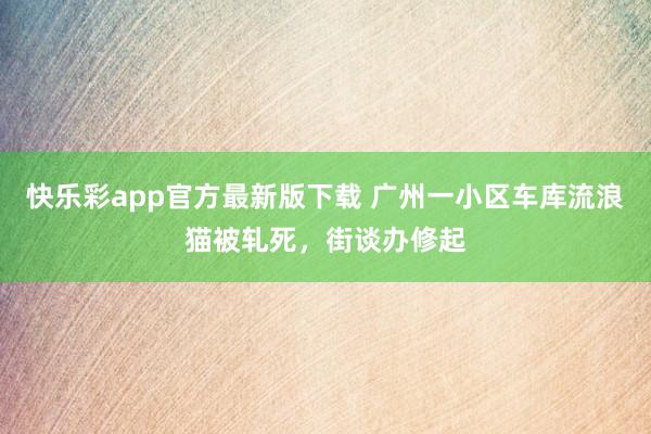 快乐彩app官方最新版下载 广州一小区车库流浪猫被轧死，街谈办修起