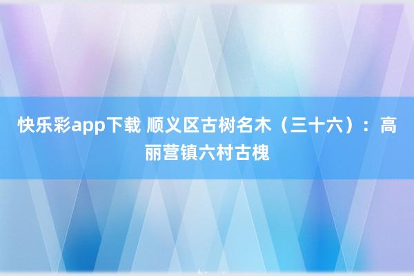 快乐彩app下载 顺义区古树名木（三十六）：高丽营镇六村古槐